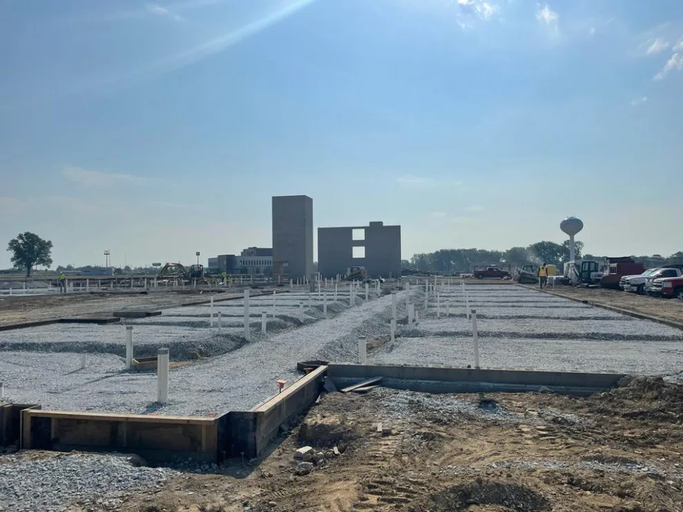 United Tree Professional Services LLC 7 by Cazares Concrete LLC - Photo 5