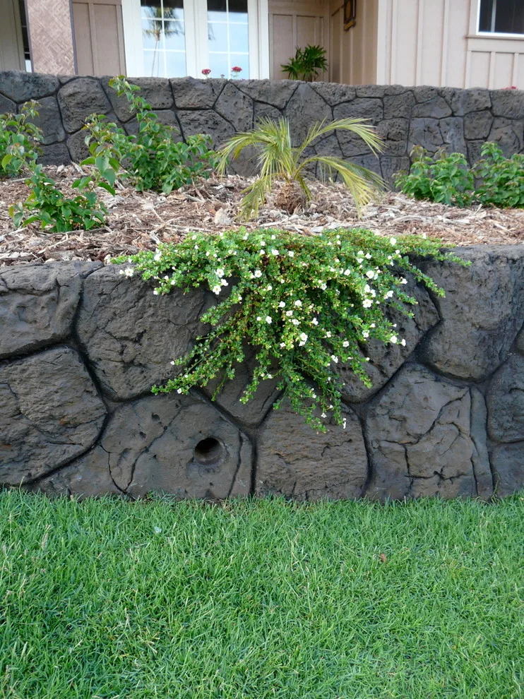 Concrete Artisans, LLC - Photo 2