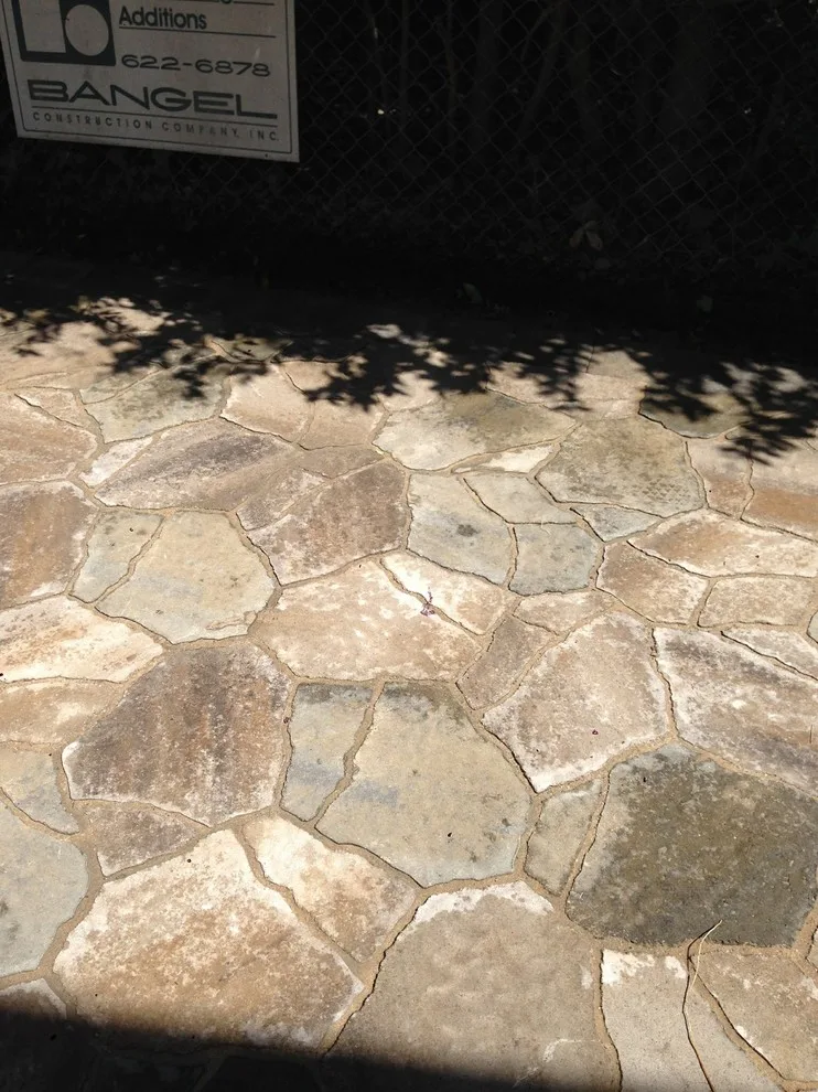 Paths by The Paver Guyz - Photo 65