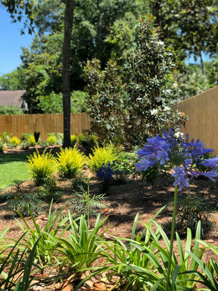 Catalina Elevated Deck by NeSmith Landscapes - Photo 6