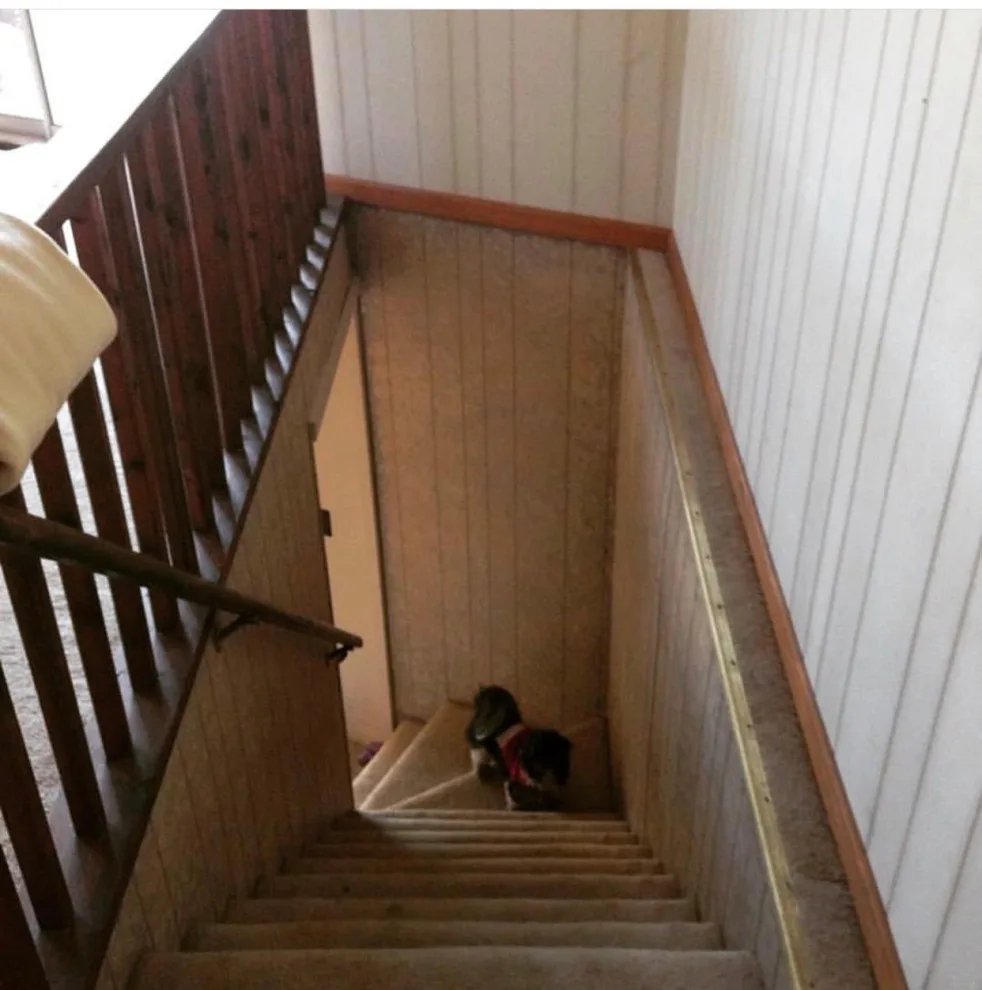 Before and After by TC Wilka Artisan Floors LLC - Photo 3