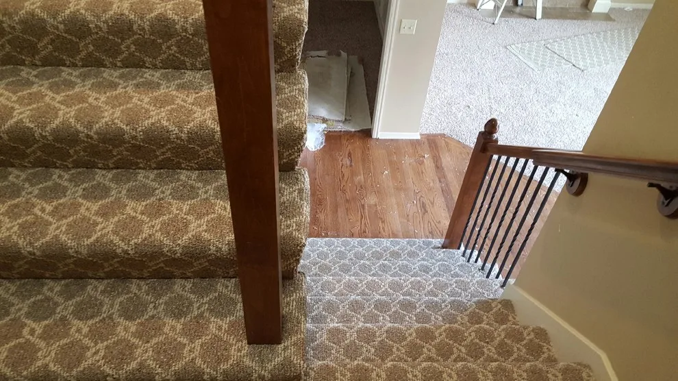 Step Designs by Carpet For Less - Photo 2