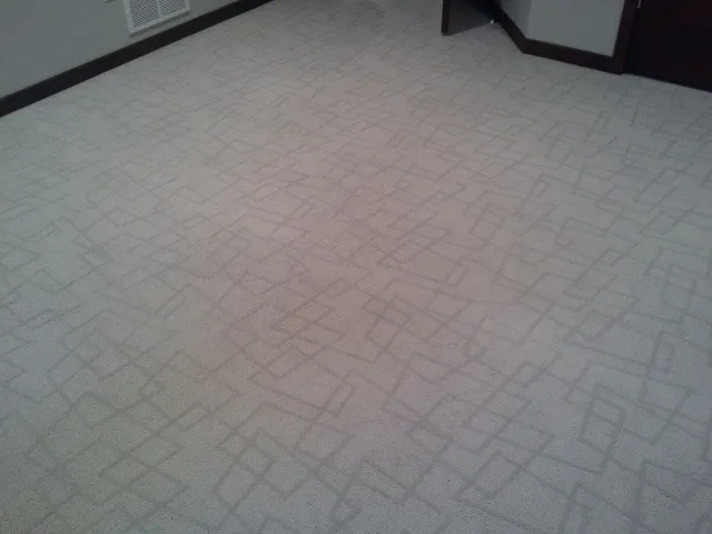 Flooring Solutions for Carpets by DeGraaf Interiors - Photo 16