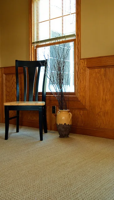 Flooring Solutions for Carpets by DeGraaf Interiors - Photo 12