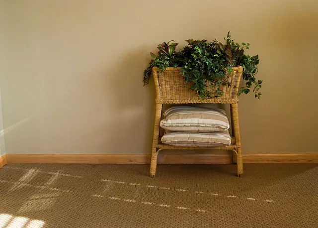 Flooring Solutions for Carpets by DeGraaf Interiors - Photo 9