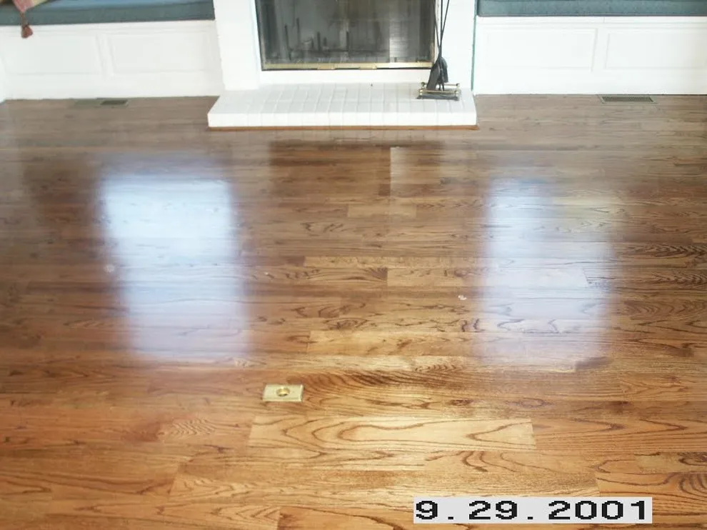 Lounge Flooring by Five Star Floors - Photo 7