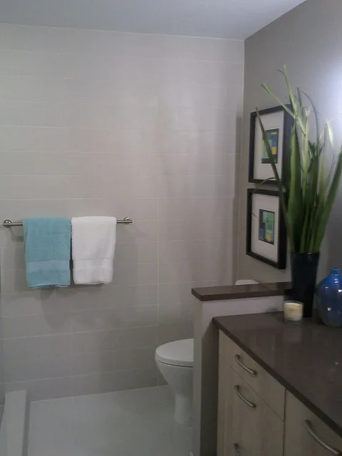 Shower Tile Solutions by DeGraaf Interiors - Photo 4