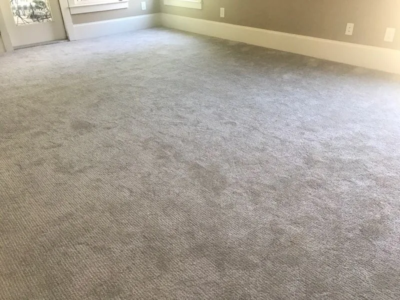 Rug Initiatives by Kemp's Dalton West Flooring - Photo 2