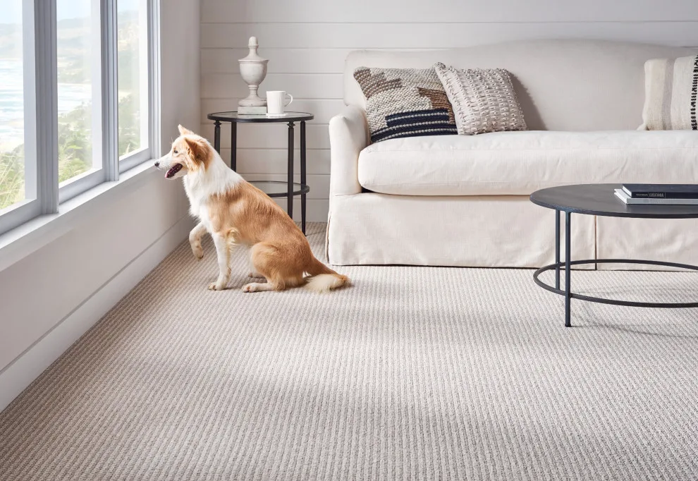 Stanton Flooring by America's Floor Source - Memphis - Photo 3