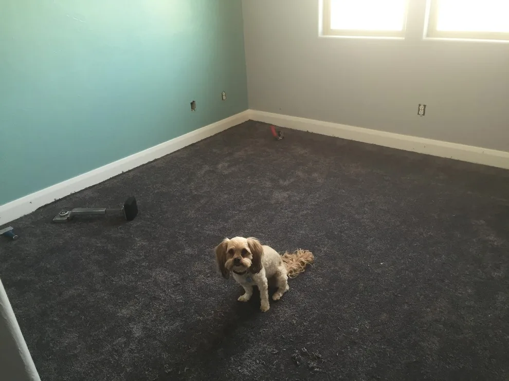 Laurie's Home Project by ST George Flooring - Photo 3