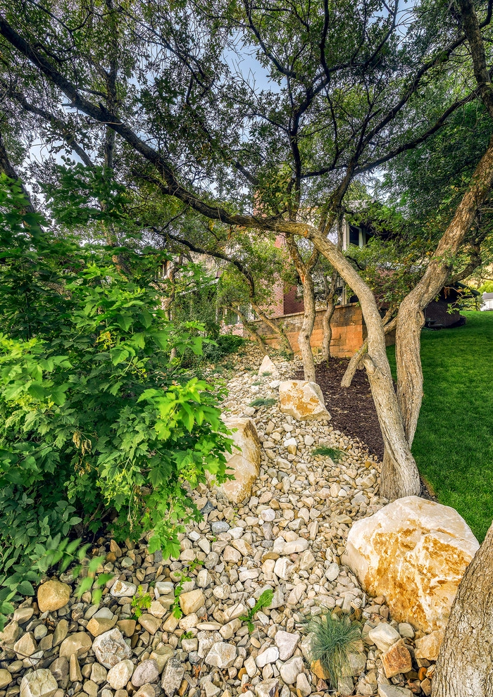 Mature Trees On Piute Drive by Big Rock Landscaping - Photo 6