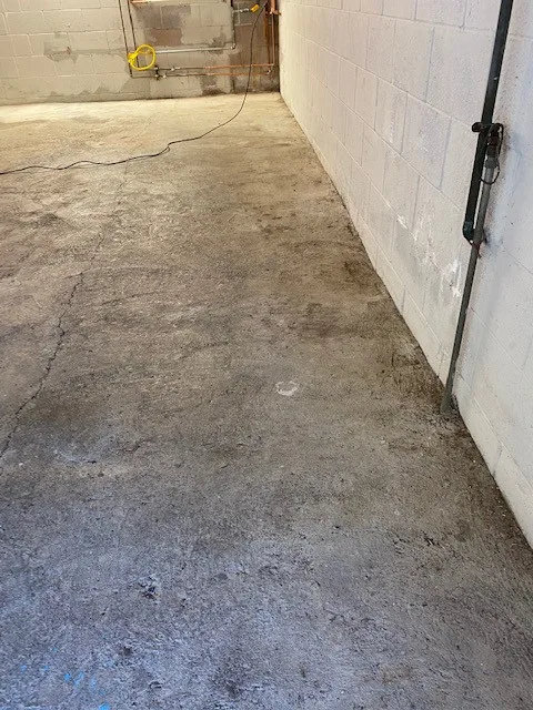 Five Star Floors - Photo 11