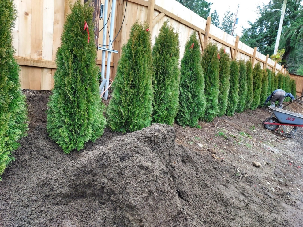Pablo Landscaping LLC - Photo 12