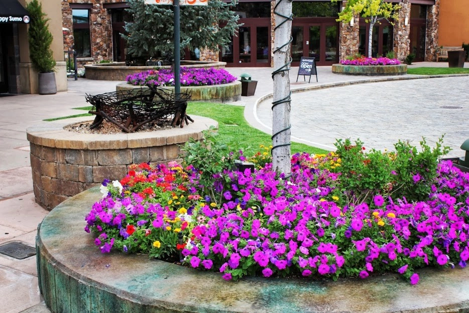 Commercial Landscaping by Big Rock Landscaping - Photo 23