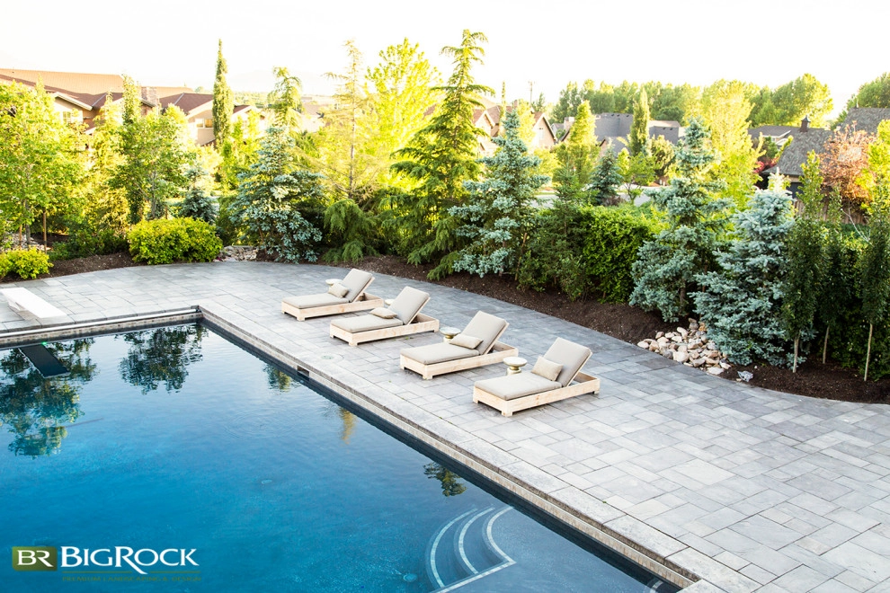 Pools by Big Rock Landscaping - Photo 9