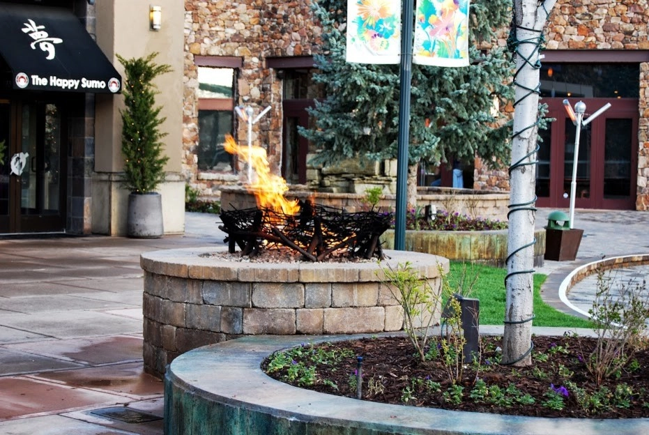 Commercial Landscaping by Big Rock Landscaping - Photo 5