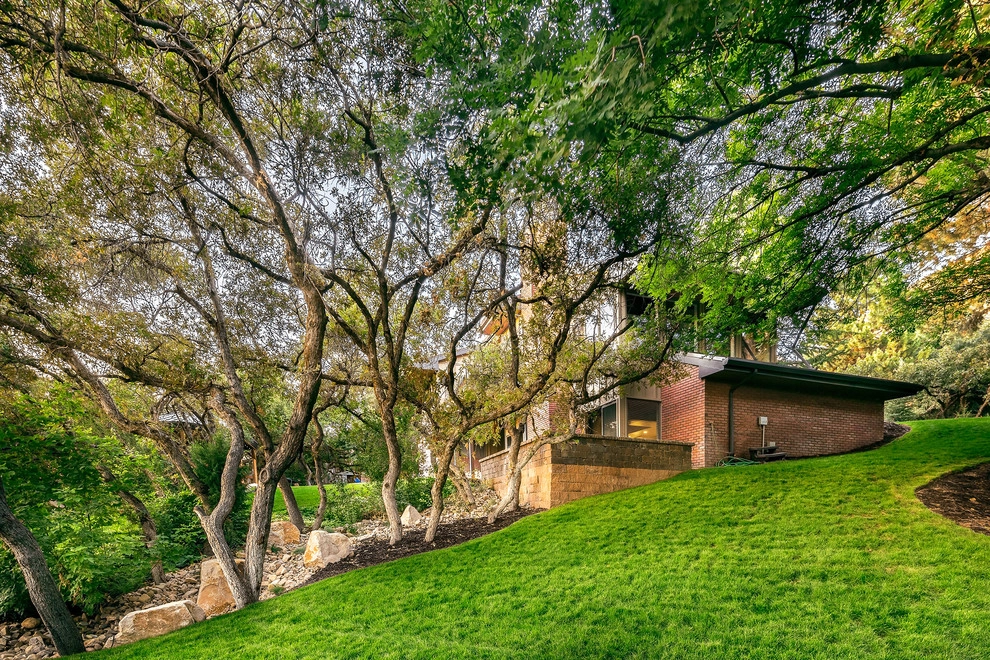 Mature Trees On Piute Drive by Big Rock Landscaping - Photo 2