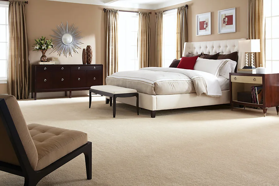Rug Surfaces by Floor Care & Interior - Photo 2