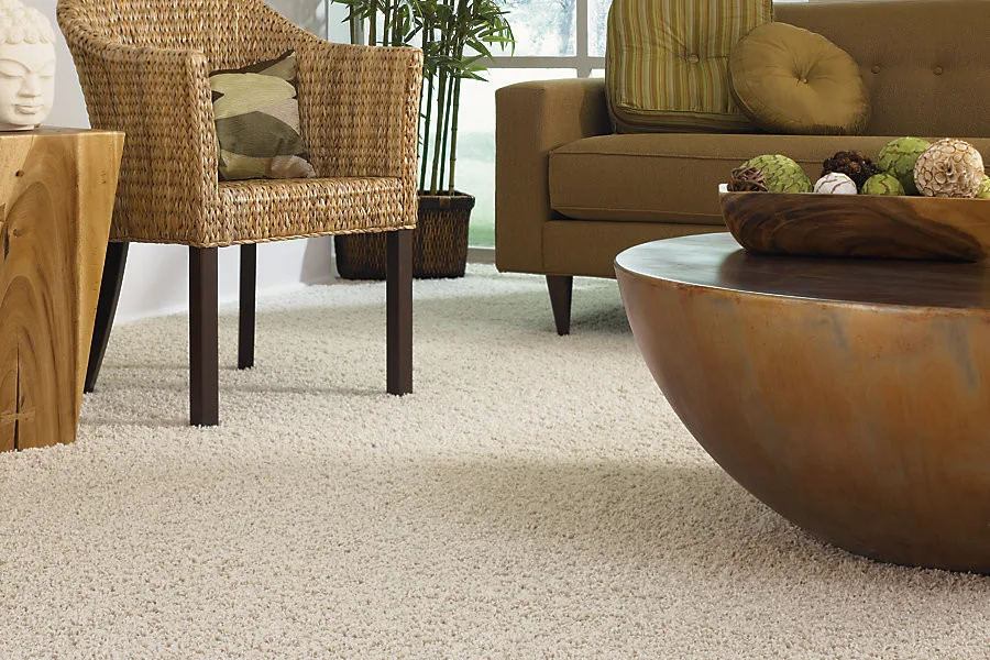 Floor Care & Interior - Photo 4