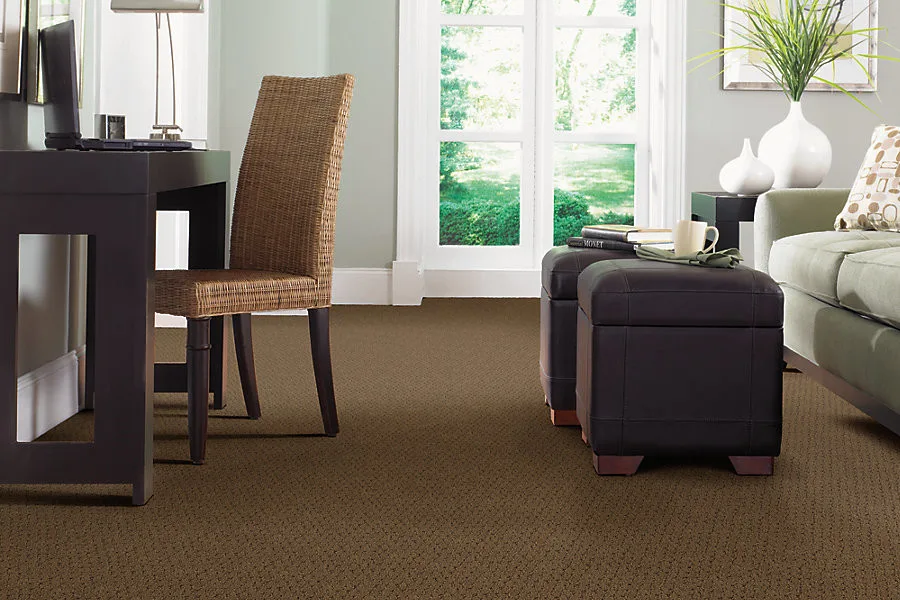 Rug Surfaces by Floor Care & Interior - Photo 4