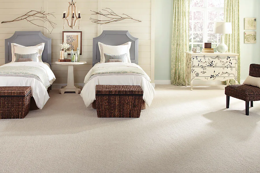 Rug Surfaces by Floor Care & Interior - Photo 6