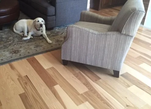 Hickory Flooring in a San Jose Renovation by Slaughterbeck Floors, Inc - Photo 14