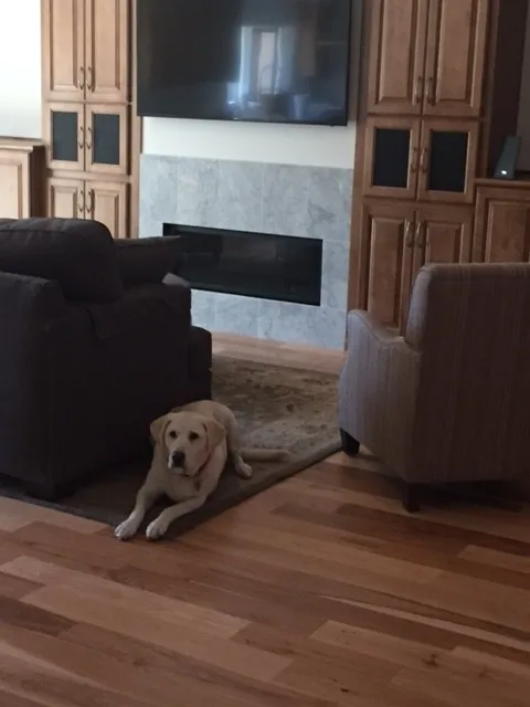Hickory Flooring in a San Jose Renovation by Slaughterbeck Floors, Inc - Photo 9