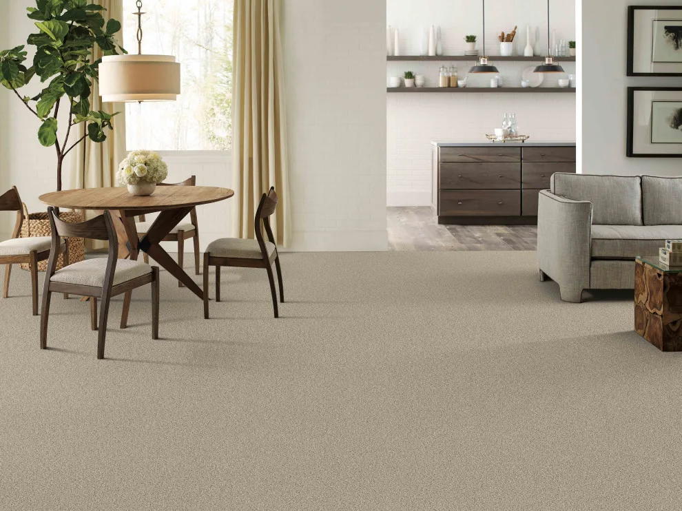 Shaw Carpeting by America's Floor Source - Memphis - Photo 19