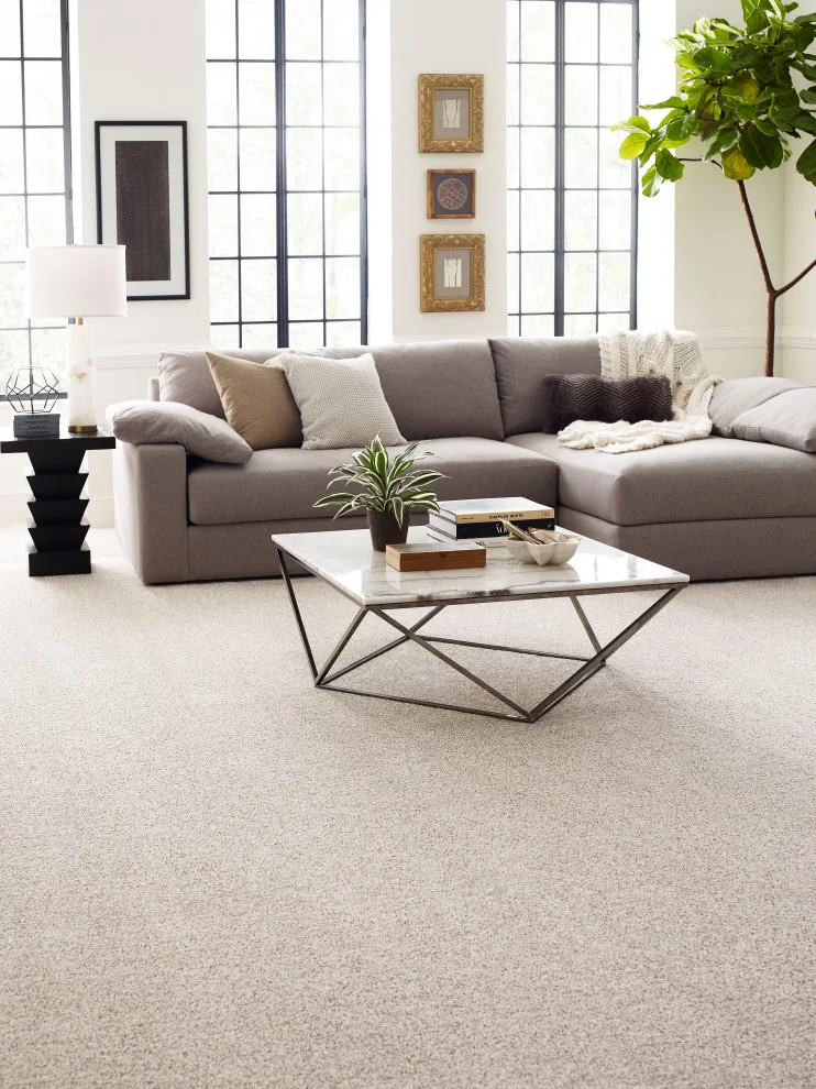 Shaw Carpeting by America's Floor Source - Memphis - Photo 13
