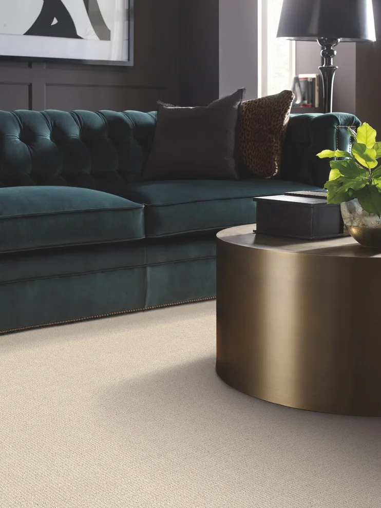 Shaw Flooring Creations by C & F Flooring And Rug Gallery - Photo 23