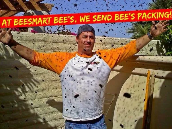 BeeSmart Bee Removal - Photo 9