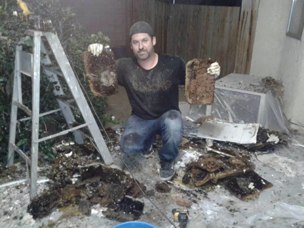 BeeSmart Bee Removal - Photo 13