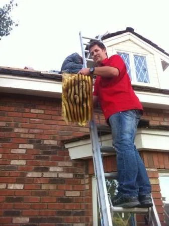 BeeSmart Bee Removal - Photo 5