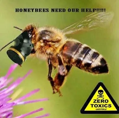 BeeSmart Bee Removal - Photo 12