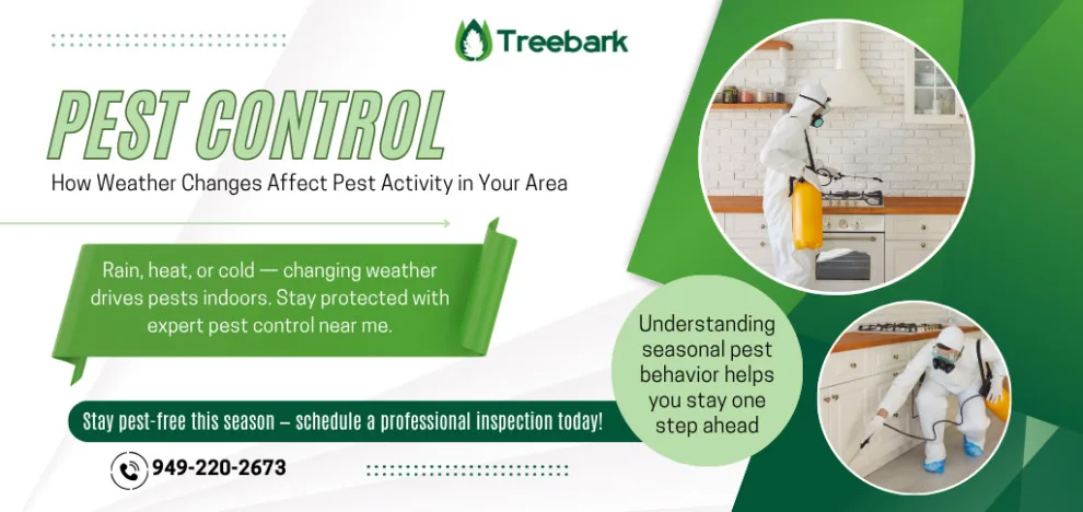 Bark Tree Termite and Pest Management by Treebark Termite And Pest Control - Photo 11