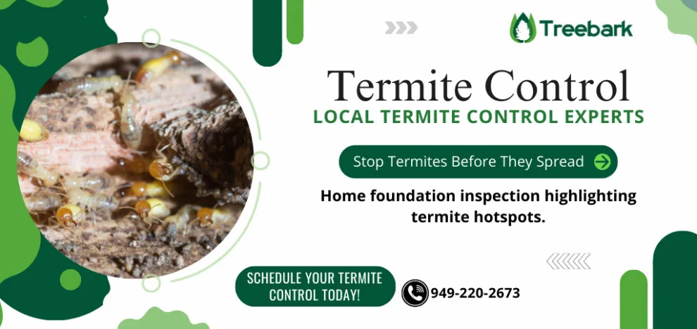 Bark Tree Termite and Pest Management by Treebark Termite And Pest Control - Photo 16