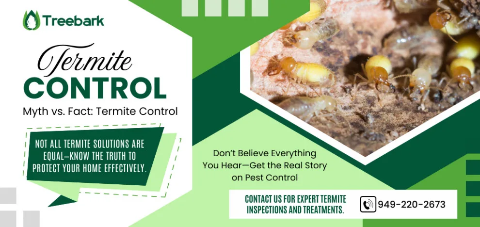 Bark Tree Termite and Pest Management by Treebark Termite And Pest Control - Photo 10