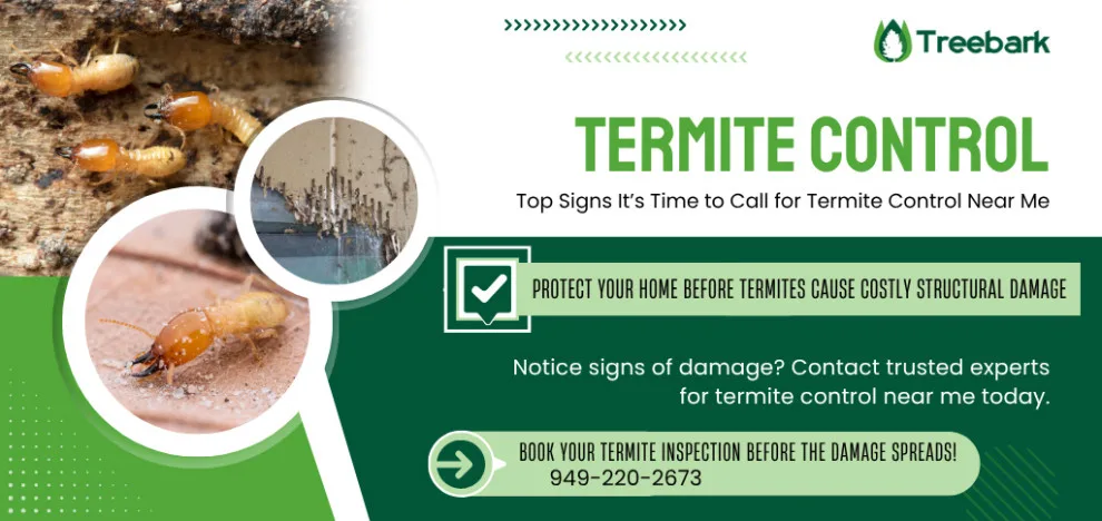 Bark Tree Termite and Pest Management by Treebark Termite And Pest Control - Photo 12