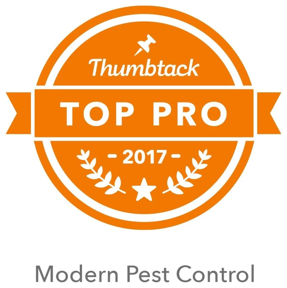 Modern Pest Control - Photo 5