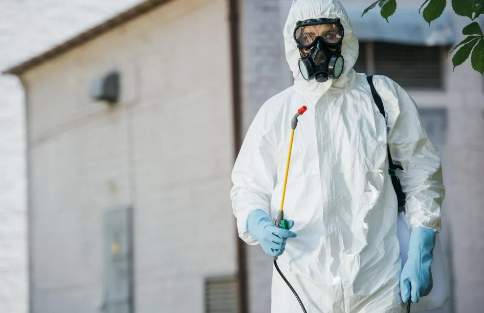 Flower City Termite Experts - Photo 3