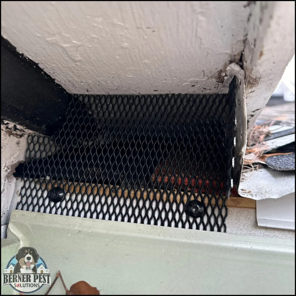 Berner Pest Solutions - Photo 5