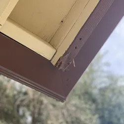 Termike Pest Control - Photo 5