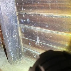 Termike Pest Control - Photo 14
