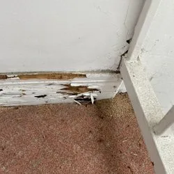 Termike Pest Control - Photo 8