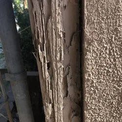 Termike Pest Control - Photo 7