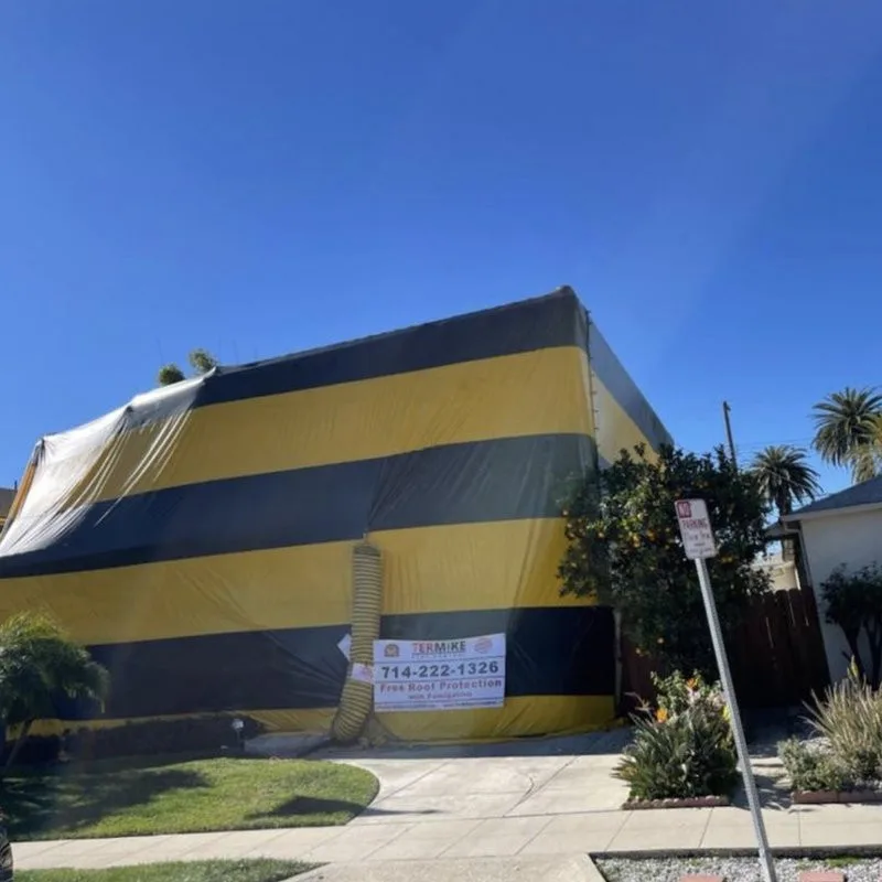 Termike Pest Control - Photo 10