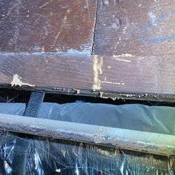 Termike Pest Control - Photo 9