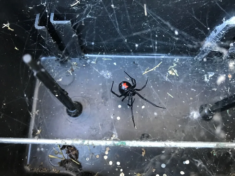 EnviroTech Exterminating - Photo 4