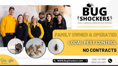 Bug Shockers - Photo 2