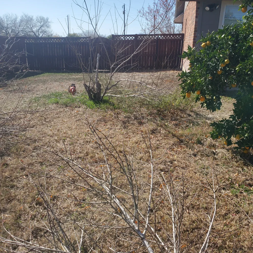 Tornado Pest Control LLC - Photo 9